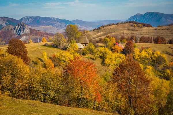 Majestic Landscape Autumn Trees Forest Colorful Fall Transylvania Romania — Stock Photo, Image