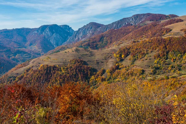 Hösten Landsbygden Panorama Bergen Skogen Med Färgglada Bladverk Transsylvanien Rumänien — Stockfoto