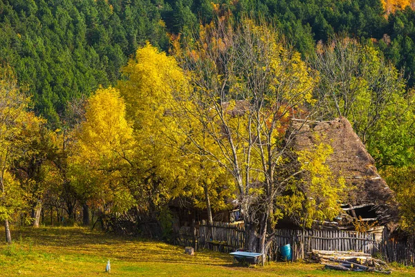 Kleurrijke Herfst Landschap Het Apusenigebergte Transsylvanië Roemenië — Stockfoto