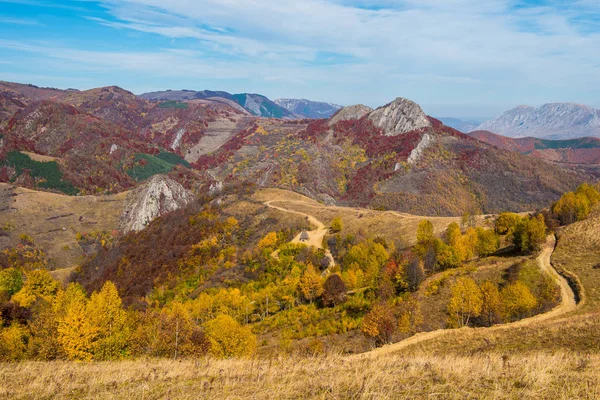 Panorama Campestre Outono Nas Montanhas Floresta Com Folhagem Colorida Transilvânia — Fotografia de Stock