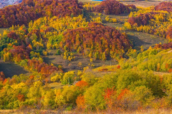 Herbstliches Landschaftspanorama Den Bergen Wald Mit Buntem Laub Transsilvanien Rumänien — Stockfoto