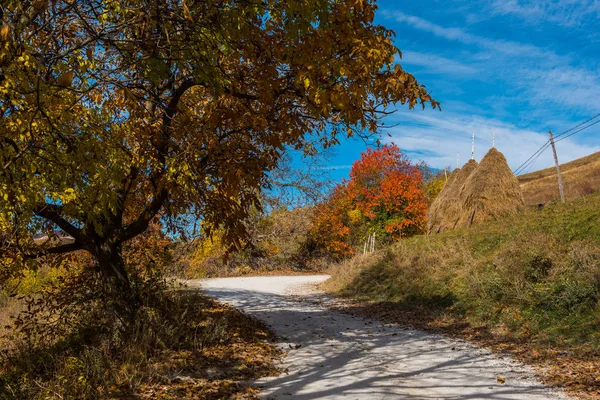 Landschaft Lebendigen Herbstlichen Bergwaldes Transsilvanien Rumänien — Stockfoto