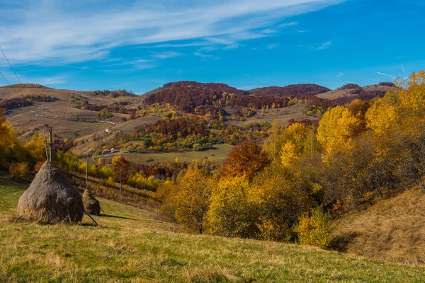 Landskap Pulserande Höstlig Fjällskog Transsylvanien Rumänien — Stockfoto