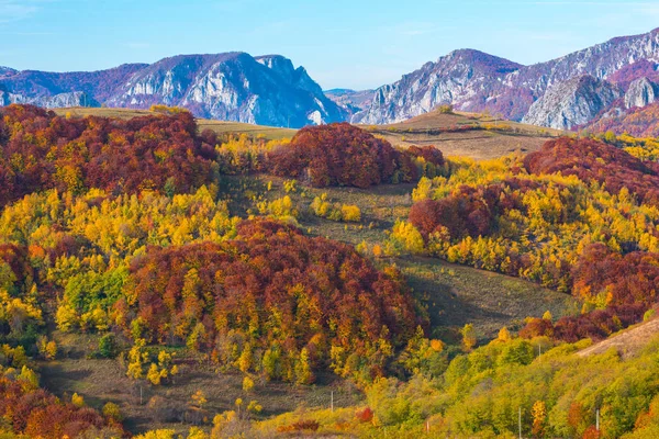 Herbst Transsilvanien Farbenfroher Laubwald Den Bergen Rumänien — Stockfoto