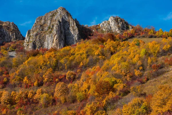 Барвистий Осінній Пейзаж Горах Apuseni Трансільванії Румунія — стокове фото