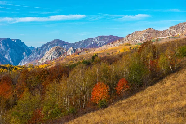 ルーマニア トランシルヴァニアの秋の風景 紅葉の森 田園地帯の丘 — ストック写真
