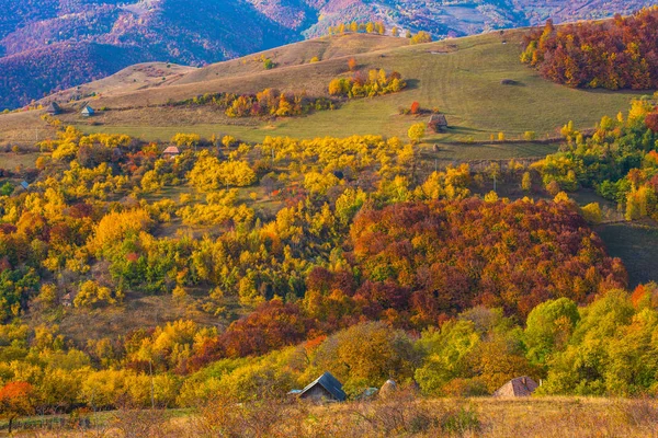 Outono Transilvânia Floresta Folhagem Colorida Nas Montanhas Roménia — Fotografia de Stock