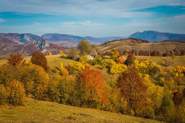 トランシルヴァニアの秋 ルーマニアの紅葉林 — ストック写真