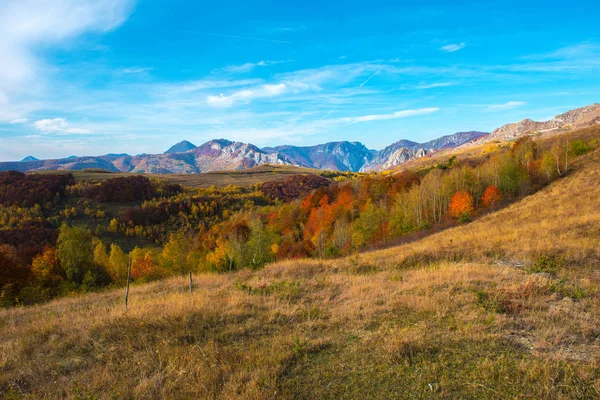 Sonbahar Manzara Renkli Ağaçlar Ile Carpathains Romanya Düşmek — Stok fotoğraf