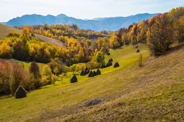 Autumn Transylvania Colorful Foliage Forest Mountains Romania — Stock Photo, Image