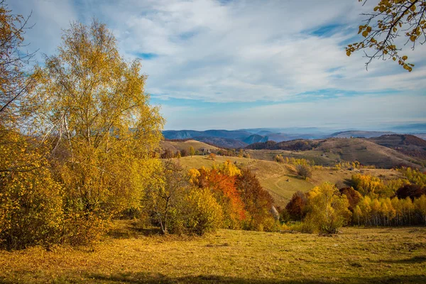 활기찬가 풍경입니다 Transylvania 루마니아 — 스톡 사진
