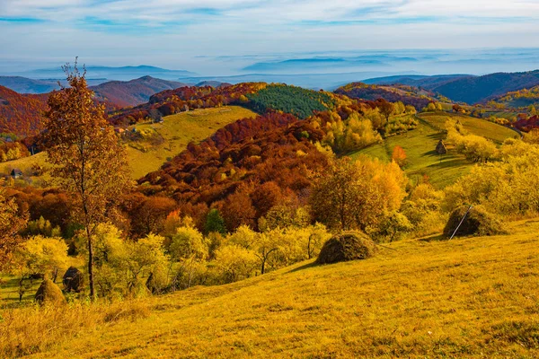 Höstlandskap Med Färgglada Träd Falla Carpathains Rumänien — Stockfoto