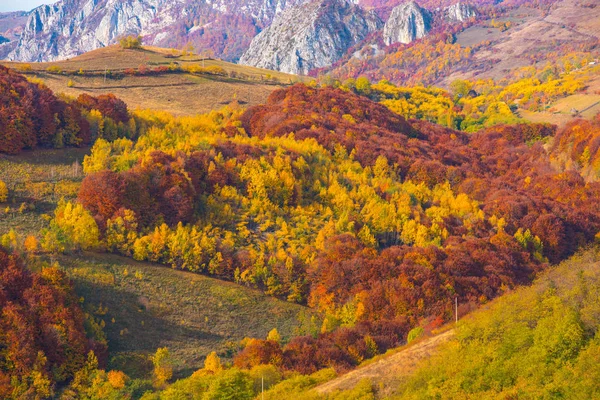 Farbenfrohe Herbstlandschaft Den Apuseni Bergen Transsilvanien Rumänien — Stockfoto