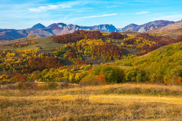 Jesienna Scena Alpach Transylwanii Rumunii Kolorowych Liści Lasu Krajobrazy Wzgórz — Zdjęcie stockowe