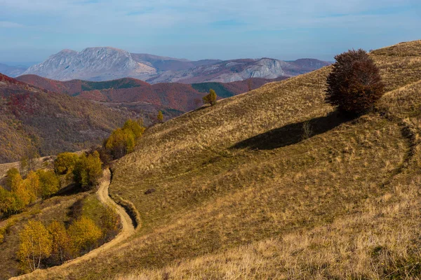 Paisaje Majestuoso Con Árboles Otoñales Bosque Colorida Caída Transilvania Rumania — Foto de Stock