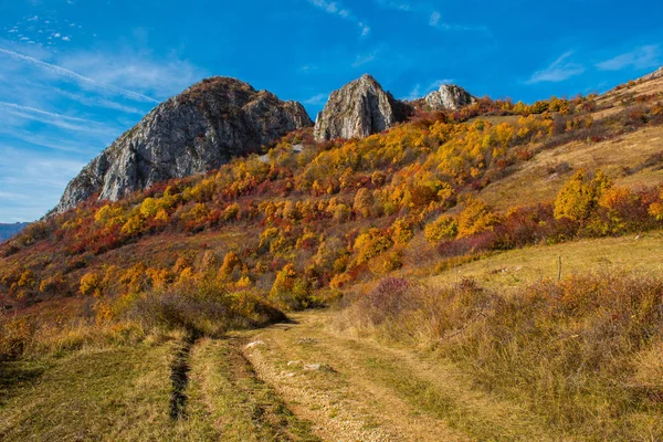 Colorido Paisaje Otoñal Las Montañas Apuseni Transilvania Rumanía — Foto de Stock