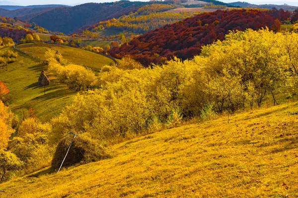 Jesień Transylwanii Kolorowych Liści Lasów Górach Rumunia — Zdjęcie stockowe