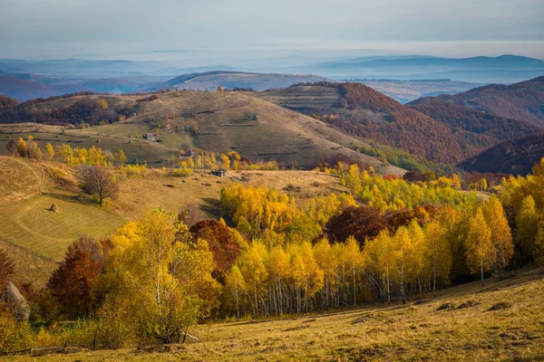 Majestätiska Landskap Med Höstens Träd Skogen Färgglad Höst Transsylvanien Rumänien — Stockfoto