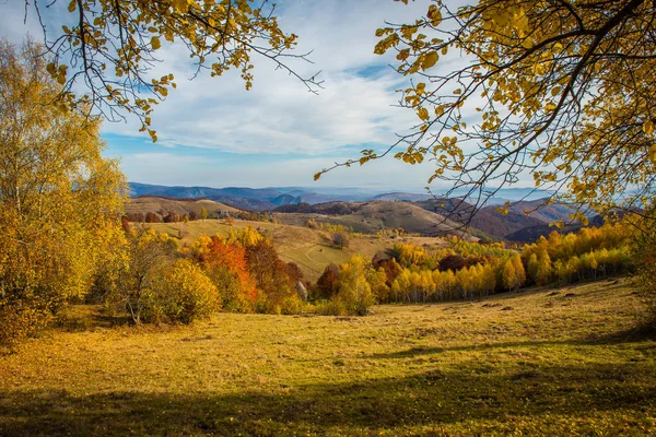 Paisaje Majestuoso Con Árboles Otoñales Bosque Colorida Caída Transilvania Rumania — Foto de Stock