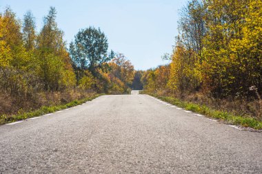 Sonbaharda yaprakların olduğu ormandan geçen boş bir yol.
