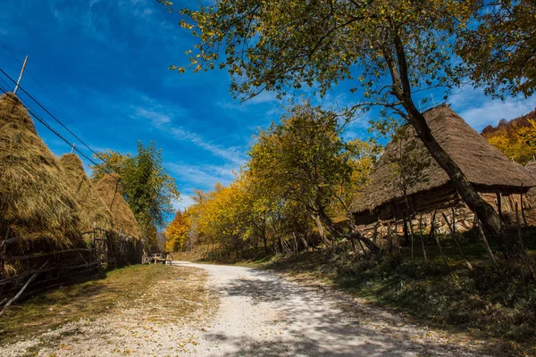 Estrada Terra Através Aldeia Montanha Floresta Outono Colorido Casa Madeira — Fotografia de Stock