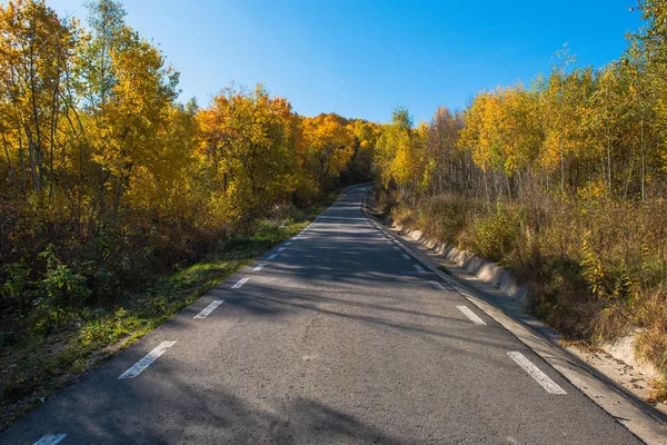 秋の紅葉の森を抜ける空の道 — ストック写真