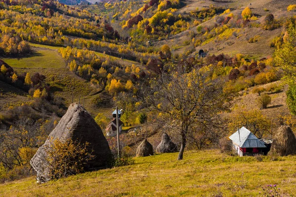 山の中の茅葺き屋根の木造廃屋 カラフルな秋の森 — ストック写真