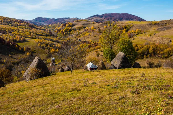 Casa Abbandonata Montagna Foresta Autunnale Colorata — Foto Stock