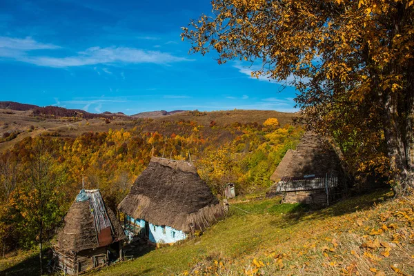 山の中の茅葺き屋根の木造廃屋 カラフルな秋の森 — ストック写真