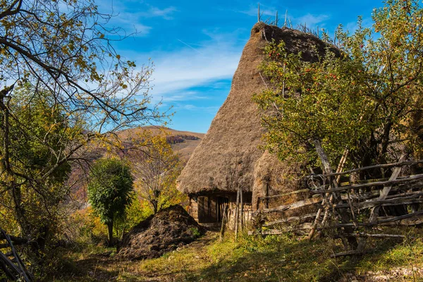 Granero Madera Abandonado Las Montañas Colorido Bosque Otoño — Foto de Stock