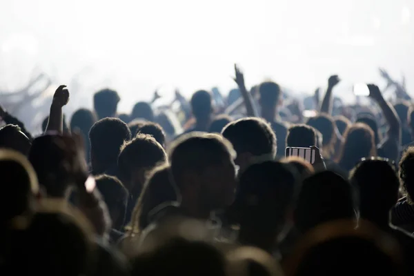 Crowd Cheerful People Partying Music Festival Rear View Stage Concert — Stock Photo, Image