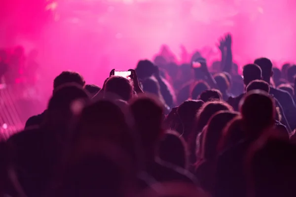 Neşeli Insanlar Müzik Festivali Nde Parti Kalabalık Arkadan Görünüş Sahne — Stok fotoğraf