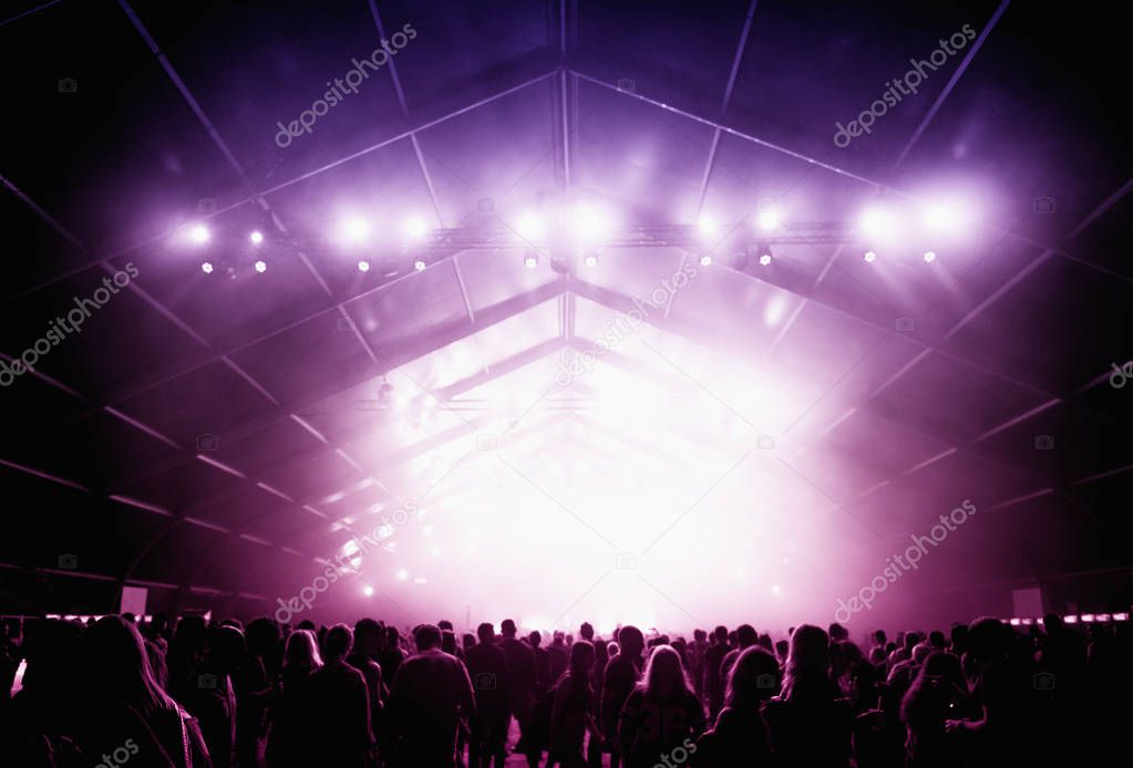 Crowd of cheerful people partying at music festival. Rear view, stage concert lights