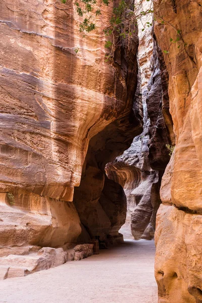 Siq Antika Canyon Vägen Till Statskassan Petra Jordanien — Stockfoto