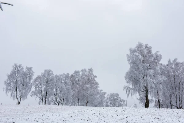 Vinter Träd Täckta Med Rimfrost Rimfrost Och Snö — Stockfoto