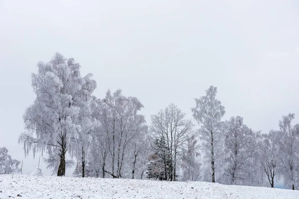 Árboles Invierno Cubiertos Escarcha Rima Nieve — Foto de Stock