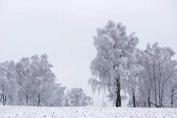 Árboles Invierno Cubiertos Escarcha Rima Nieve — Foto de Stock