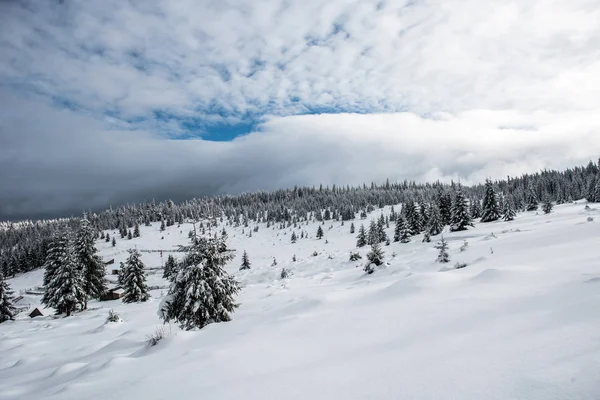 Fondo Navidad Año Nuevo Con Árboles Invierno Las Montañas Cubiertas — Foto de Stock