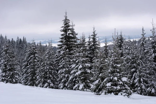 Kerst Nieuwjaar Achtergrond Met Winterbomen Bergen Bedekt Met Sneeuw — Stockfoto