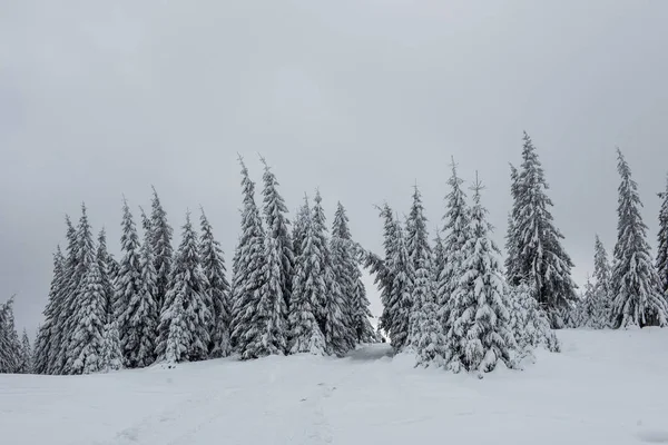 Kerst Nieuwjaar Achtergrond Met Winterbomen Bergen Bedekt Met Sneeuw — Stockfoto