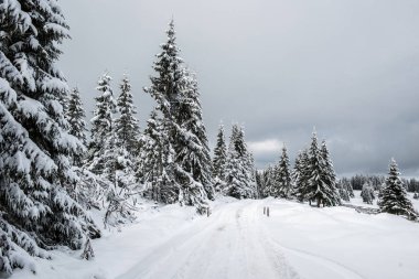 Yılbaşı ve yeni yıl arkaplanı Dağlardaki kış ağaçları karla kaplı