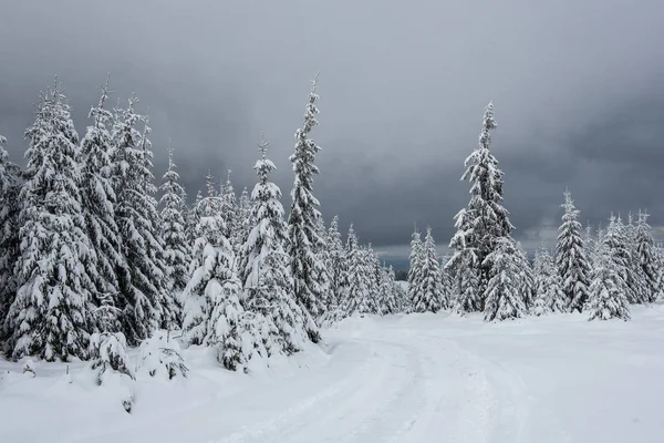 Natale Capodanno Sfondo Con Alberi Invernali Montagna Coperti Neve — Foto Stock