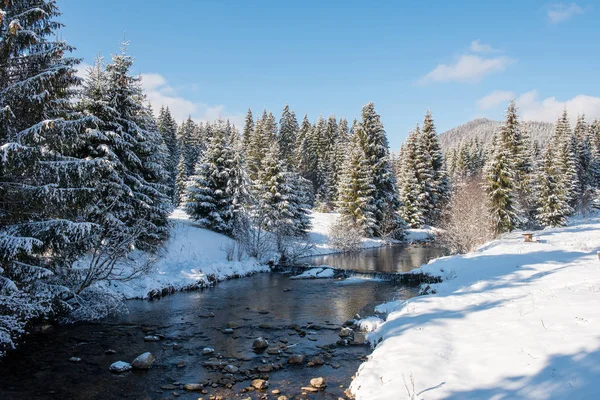 Ruscello Acqua Invernale Nella Foresta Con Alberi Innevati — Foto Stock