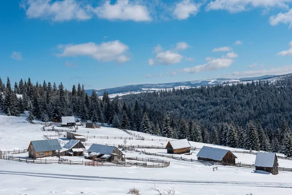 Alpská Vesnice Transylvánii Rumunsko Sněhem Pokryté Domy Zimě — Stock fotografie