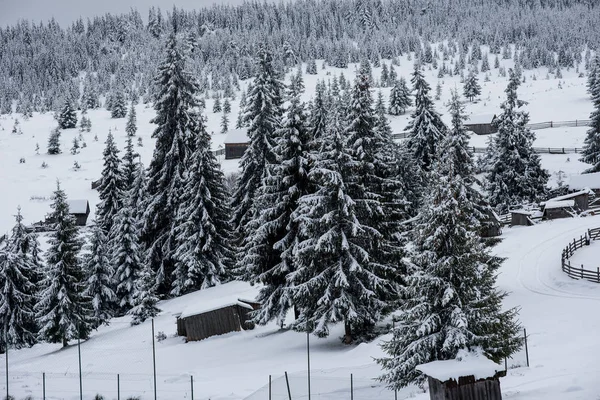 Pueblo Alpino Transilvania Rumania Casas Cubiertas Nieve Invierno — Foto de Stock