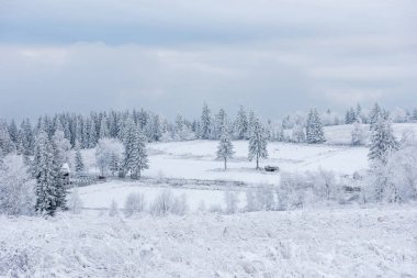 Karla kaplı ağaçlar ve tepeler ile kışın kırsal alan