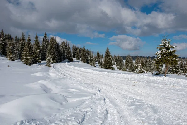 雪に覆われた木々や丘と冬の田園風景 — ストック写真