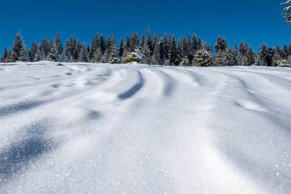 随心所欲滑雪和滑雪板轨道在粉雪 — 图库照片