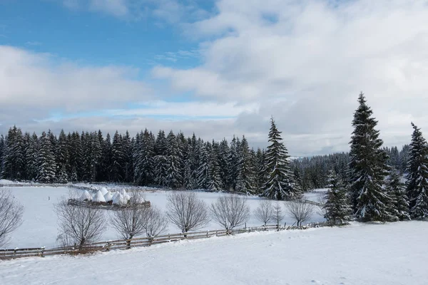 Winter Countryside Landscape Snow Covered Trees Hills — Stock Photo, Image