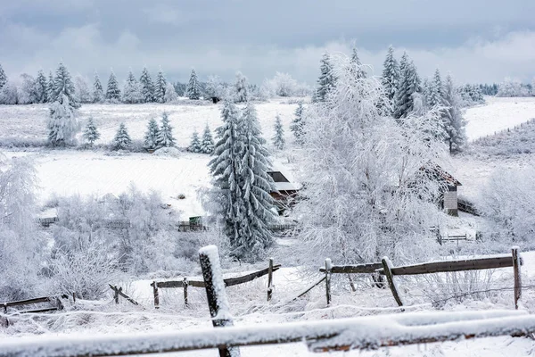 Paisaje Invernal Con Pinos Cubiertos Nieve Abetos Concepto Navidad — Foto de Stock